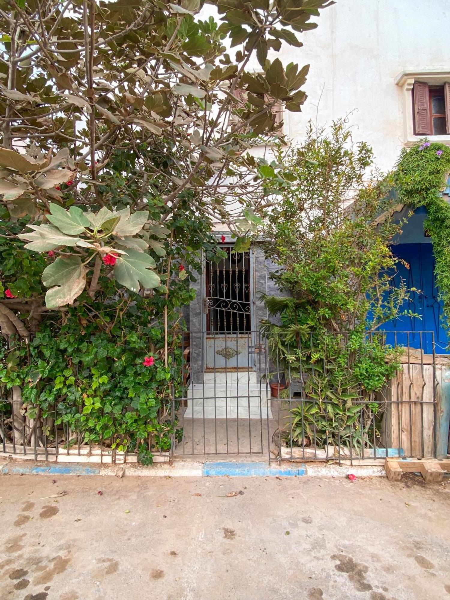 Dallas Private Surf Apartment Agadir Eksteriør billede